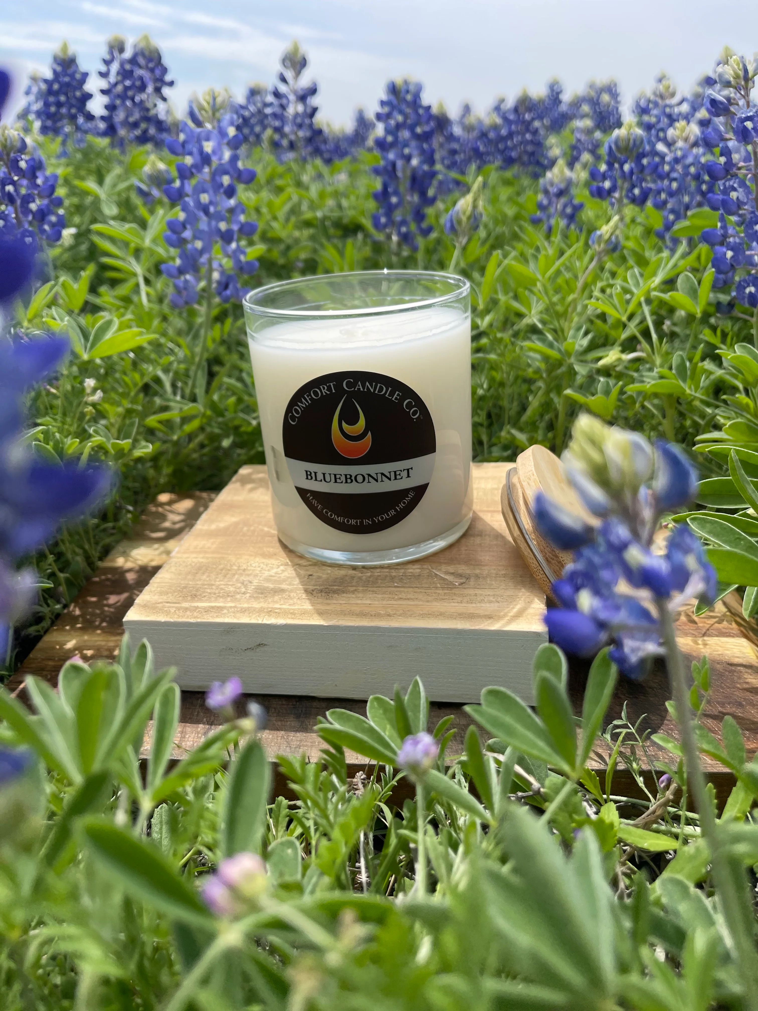 Bluebonnet - Image 8